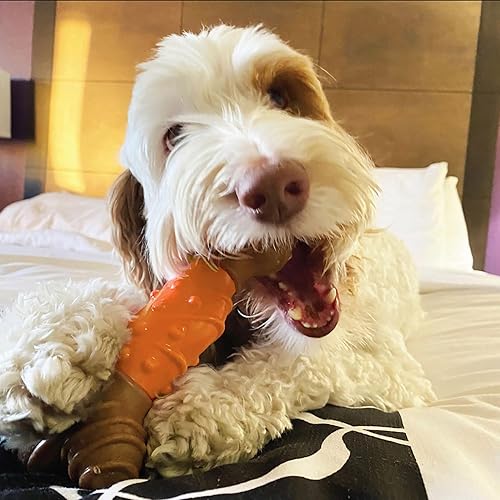 Miniatura 6 de SPOT Bam-Bones - Hueso dental  Hecho con fibra de bambú y un centro de goma masajeadora, masticable duradero para perros masticadores ligeros y