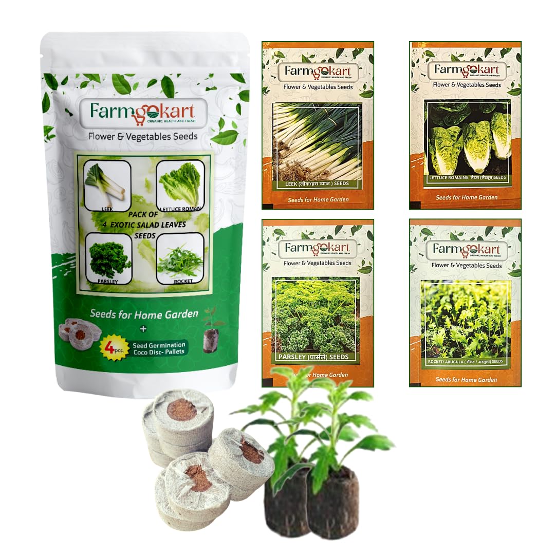 Farmgokart Combo Pack Of 4 Exotic Salad Leaves Seeds | LEEK, LETTUCE ROMAIN, PARSLEY & ROCKET | Easy To Grow | Best Suitable For Terrace And Home Gardening | With 4 Coco Disc - (VC-12) (B09PJDR4LK) Amazon Price History, Amazon Price Tracker