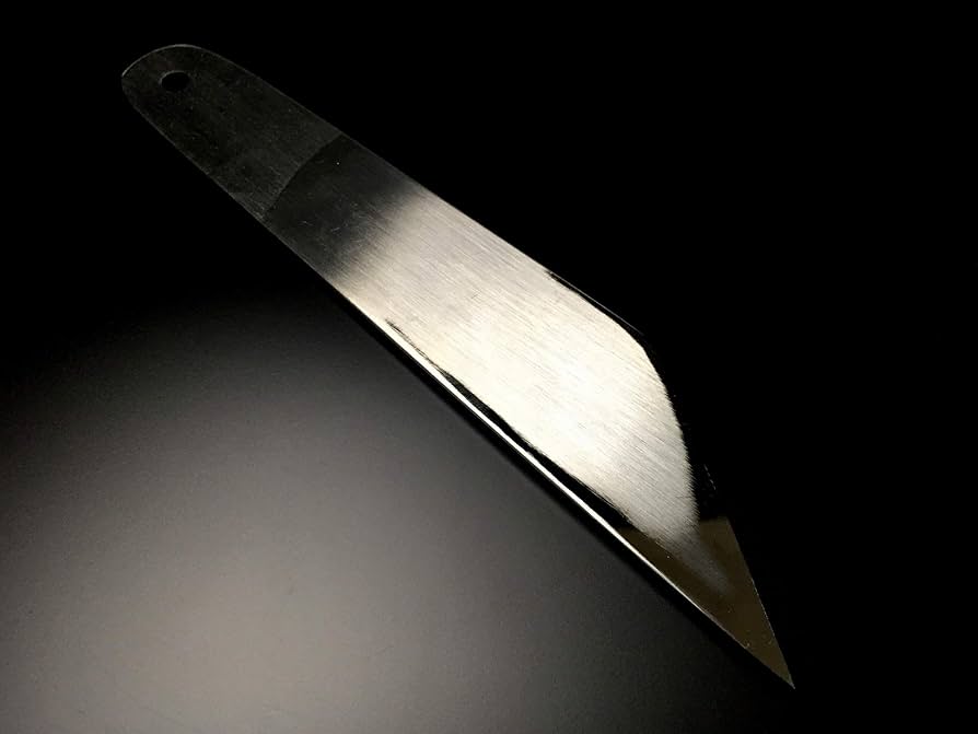 虫明焼/Ushiage yaki 虫明焼/Ushiage yaki Amazon.com: XINZUO 8 Inches Japanese