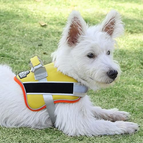 Miniatura 13 de Bolux - Arnés para perro, reflejante y transpirable, ajustable, con asa, para sacarlo a pasear, no más tirones ni asfixia (color negro, talla XL)