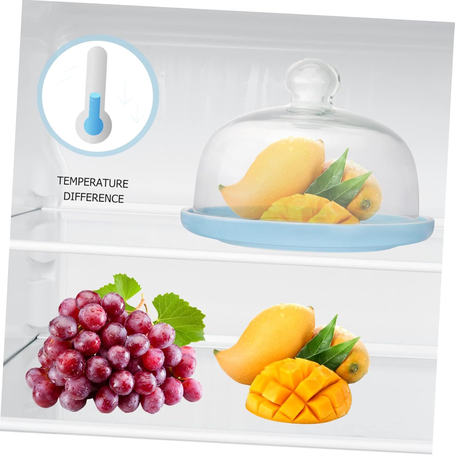 1 Set Elegant Ceramic Food Tray with Glass Lid Serving Plate for Desserts Fruits and Snacks for Home Entertaining and Special Occasions