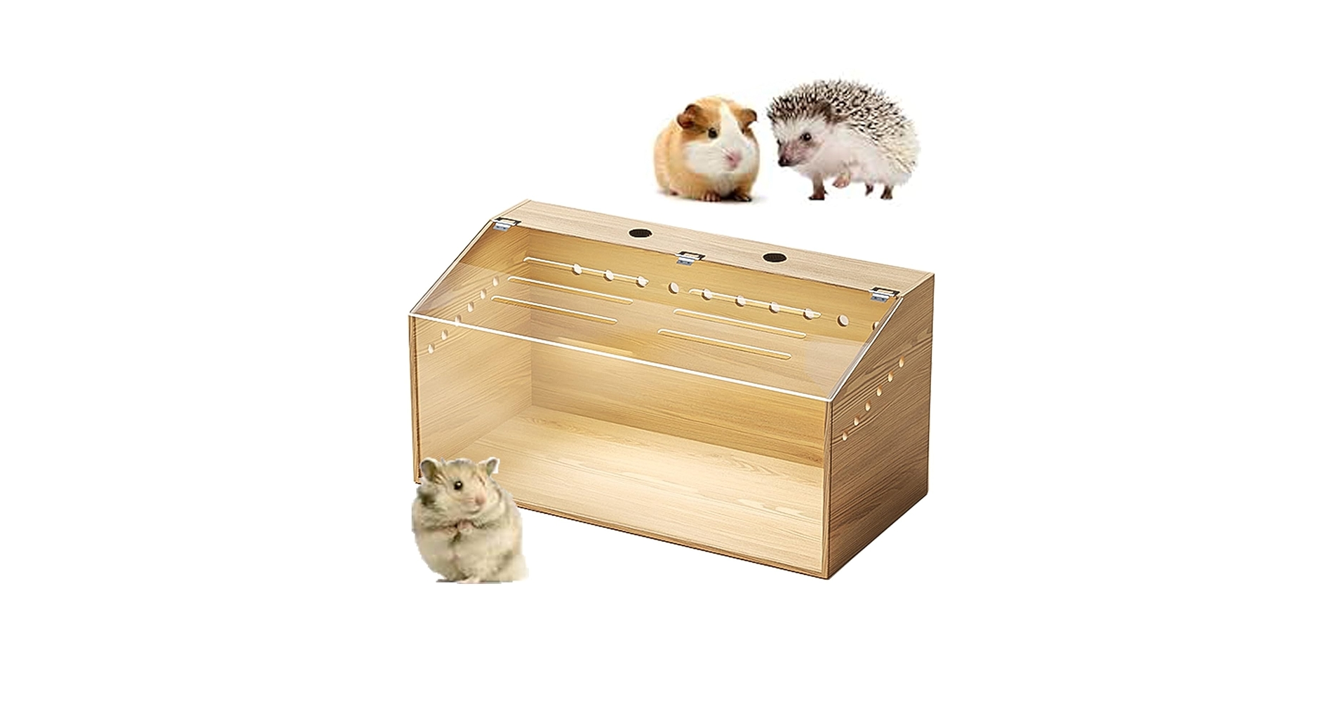 小動物用アクリルケージ　ハリネズミ　ハムスター　爬虫類 Amazon.co.jp: 爬虫類 ケージ カナヘビ ケージ アクリルケージ