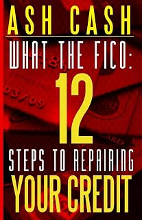 What the FICO: 12 Steps to Repairing Your Credit