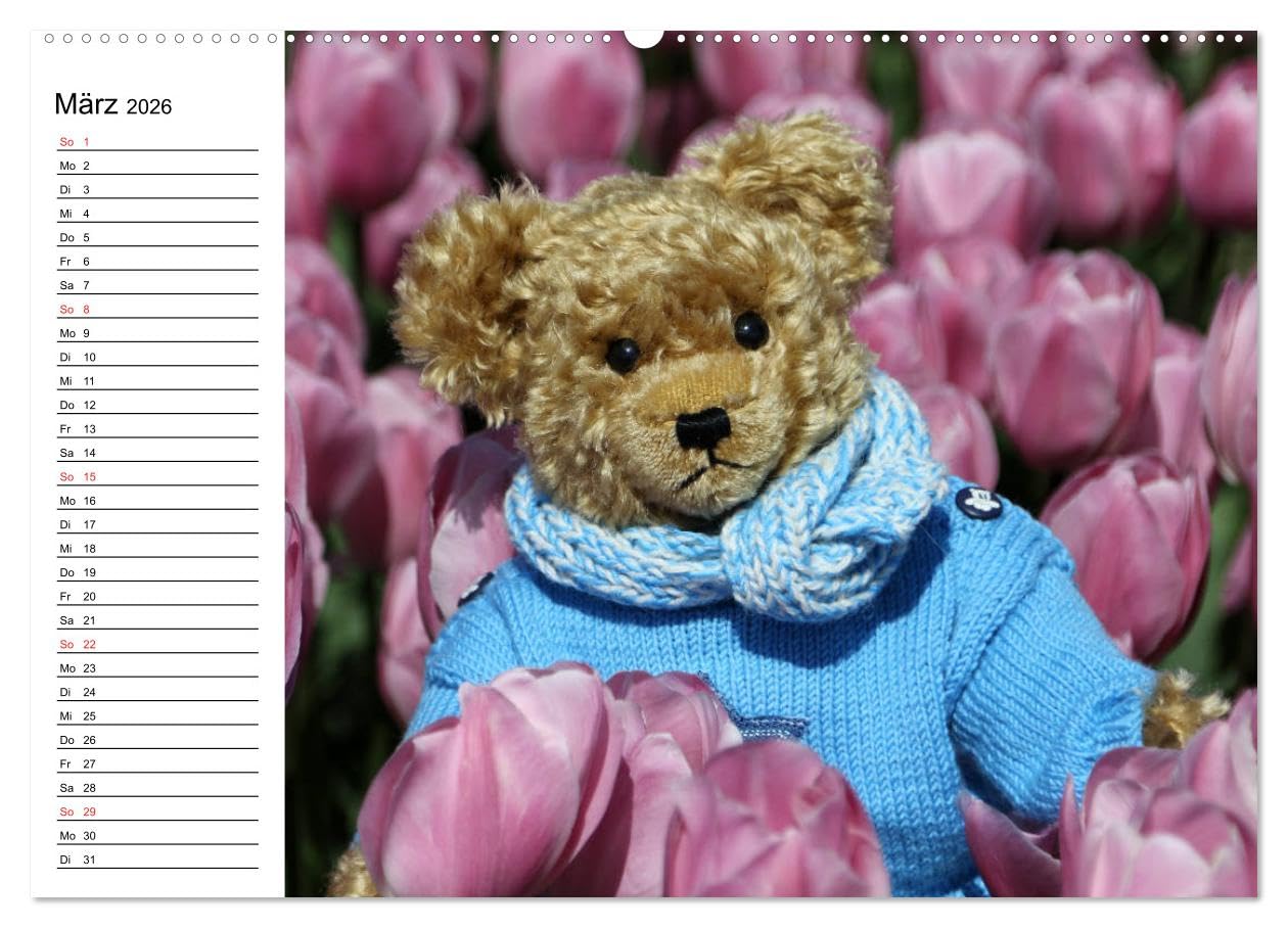 Teddy unterwegs (hochwertiger Premium Wandkalender 2026 DIN A2 quer), Kunstdruck in Hochglanz: Ein Teddykalender für die ganze Familie (CALVENDO Spass)