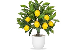 Artificial Potted Plants 15.7 inches Fake Lemon Tree Plant Decorations