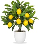 Artificial Potted Plants 15.7 inches Fake Orange Tree Artificial Citrus Fruit Plant with Black Pot Faux Plants Indoor for Home,Office, Living Room Table, Desk