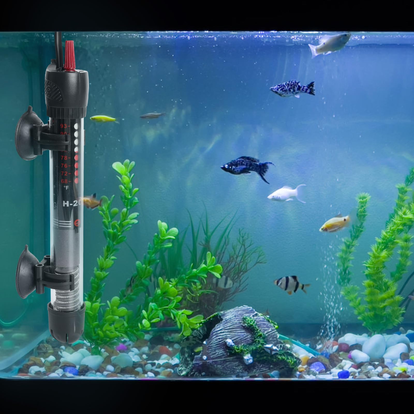 Heizstab Aquarium Heizung Mit Schutzhülle Einstellbare Thermometer Aquarienheizer für Fischtanks Thermostat für Fischtanks 60L (12-34°C, 50W)