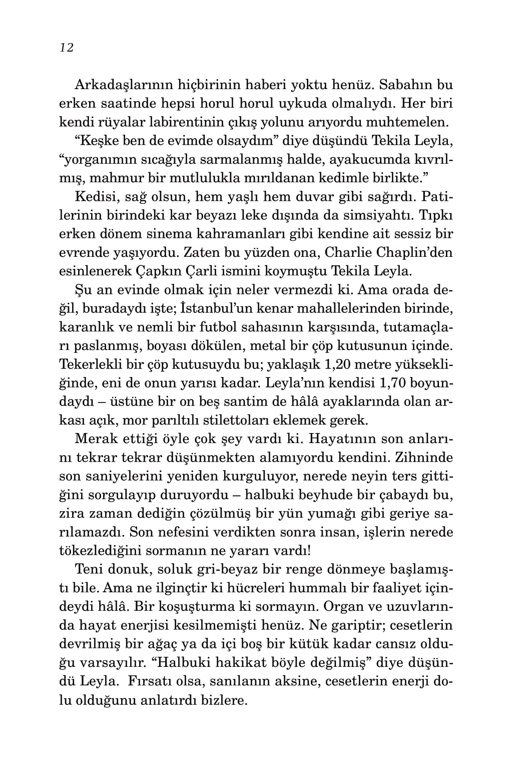 10 Minuter och 38 Sekunder i en Märklig Värld (Turkiska)