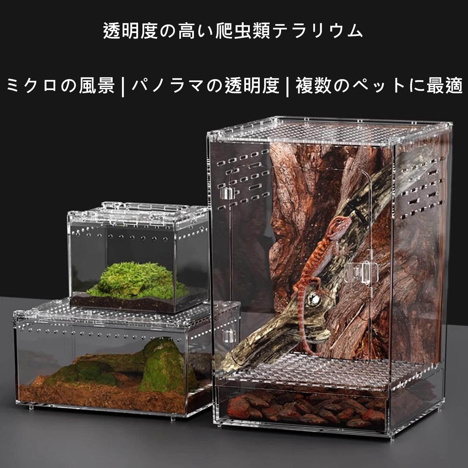 Amazon | 爬虫類 ケージ レプタイルボックス 両生類用飼育ケース
