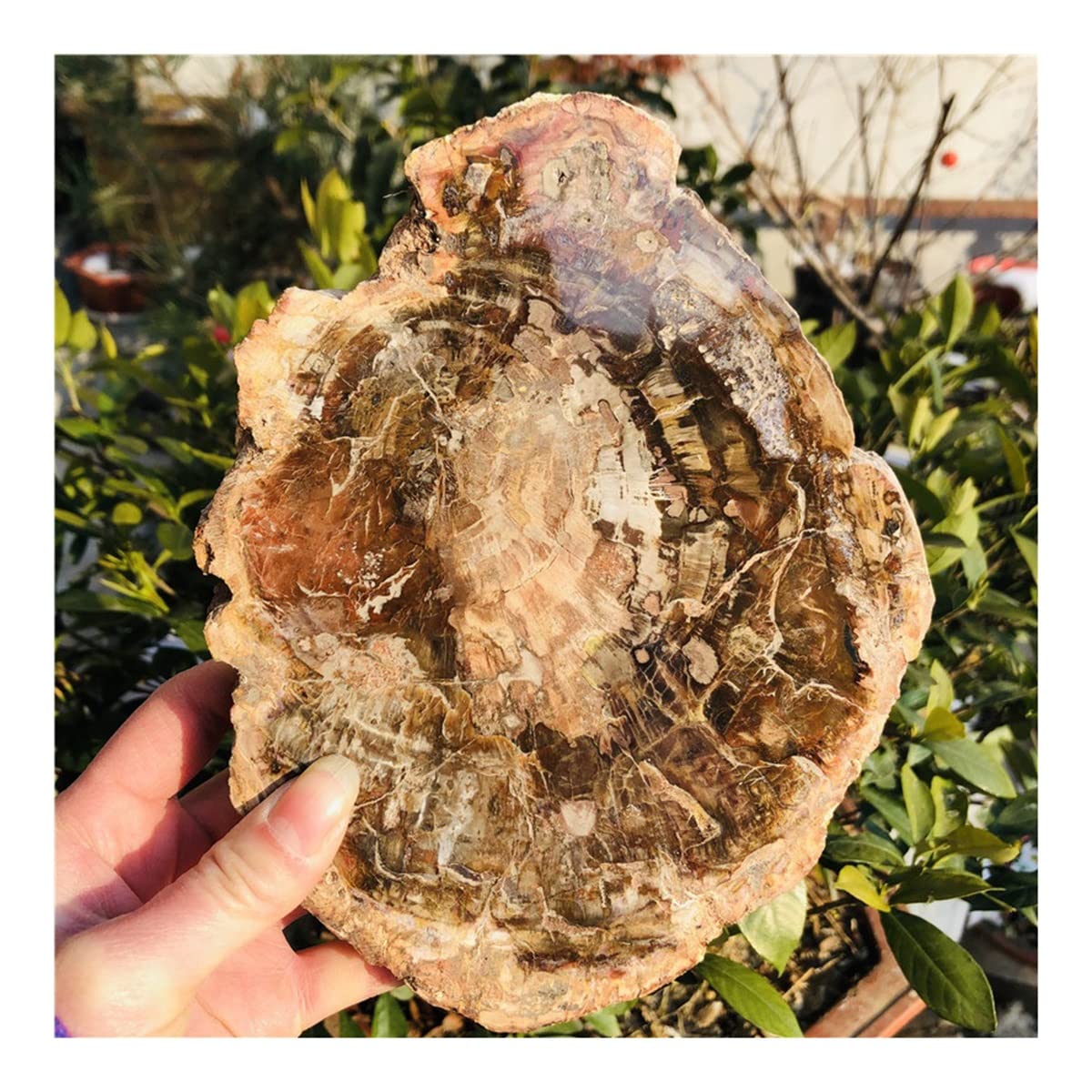 Cristal de Minéraux Naturels 400g : Créez une Ambiance Zen en Décoration d'Intérieur