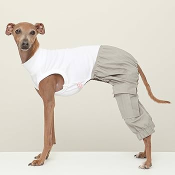 ストレッチデニムパンツロンパース　Mサイズ　イタグレ服 Amazon | D DOGGY STAR イタグレ服 デニム ロンパース つなぎ