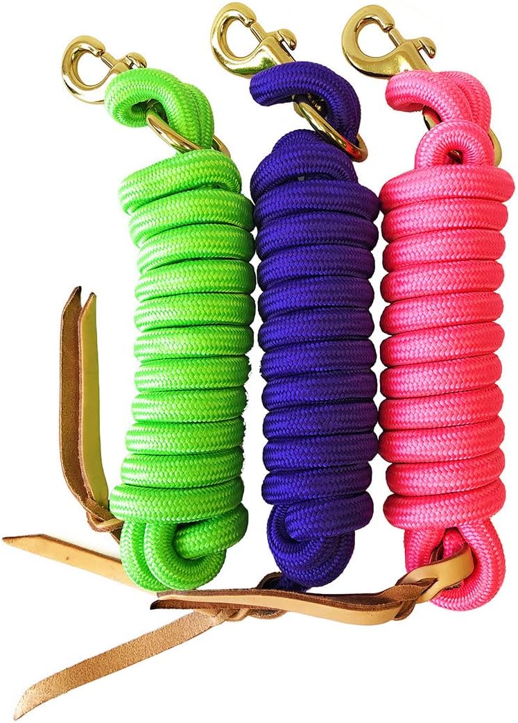 AJ Tack Set of 3 Lead Ropes with Leather Popper - Pink, Purple, and Lime Green