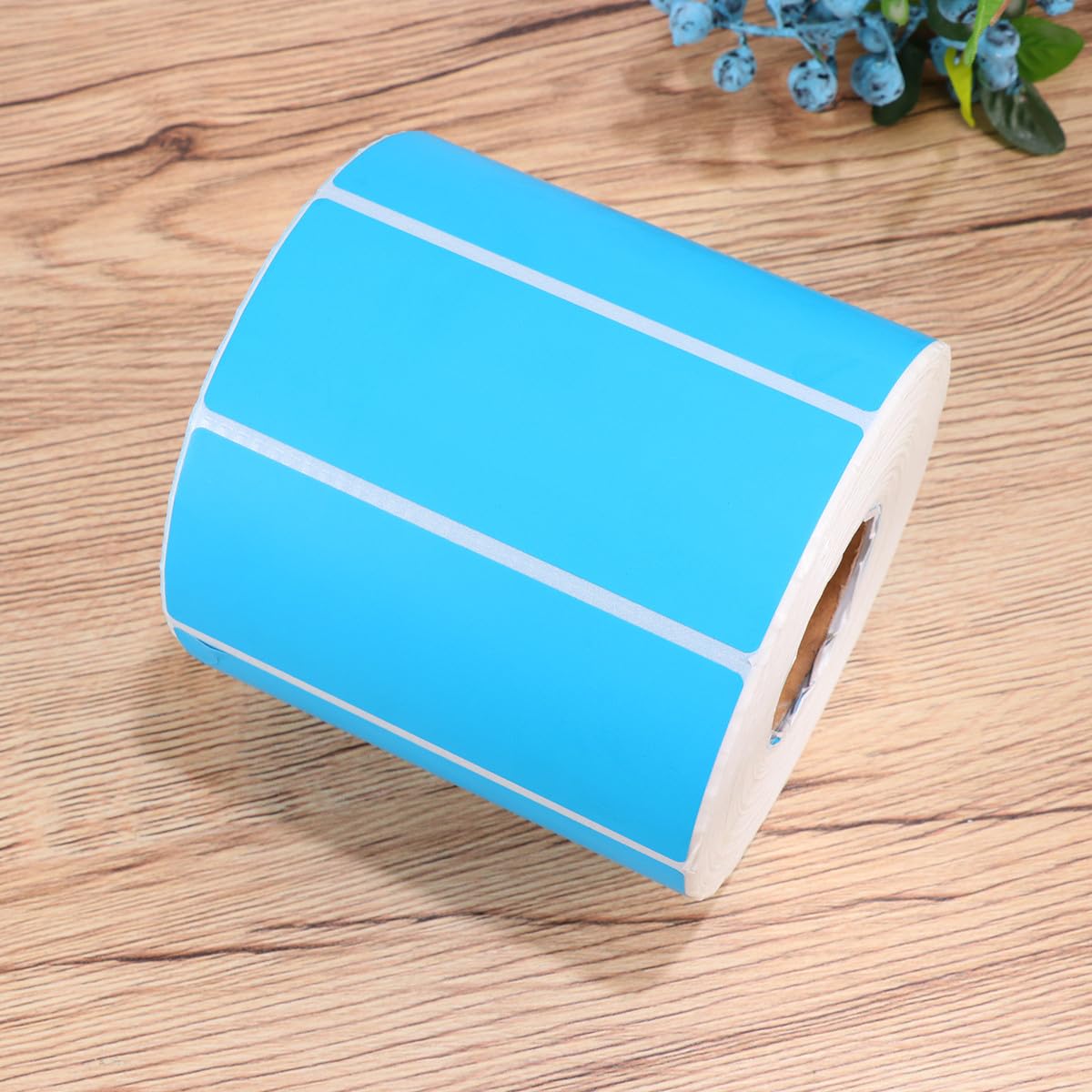 Etichette Adesive Circolari in Carta Set Da 1000 Pezzi 95x40 Mm Per Ufficio Aula Festa