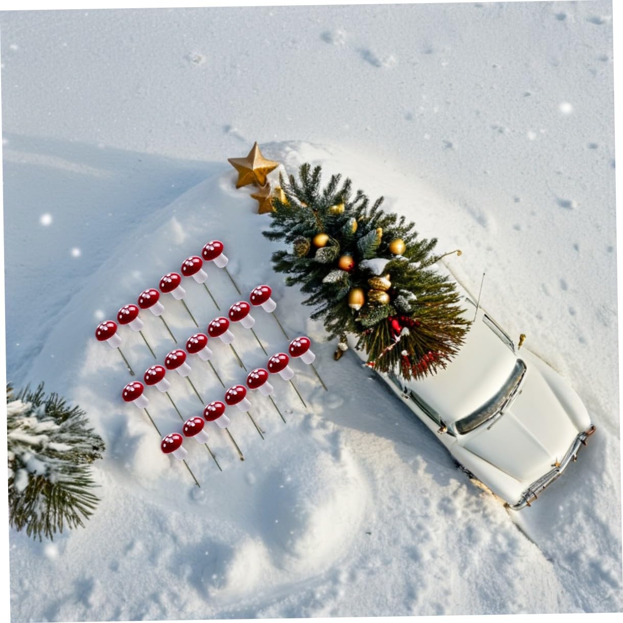 View 7