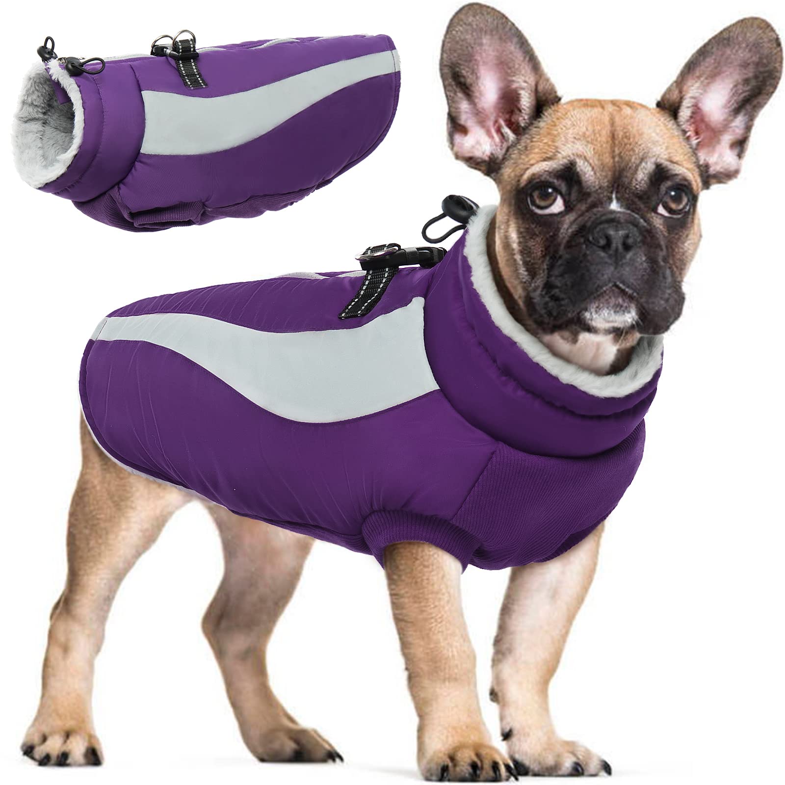 Hjyokuso Abrigo Perro, Ropa Perro, Abrigo Impermeable para Perros A Prueba De Viento, para Perros Pequeños, Medianos y Grandes, Chaqueta Perro Yorkshire, Salchicha, Chihuahua y Labrador-Púrpura S