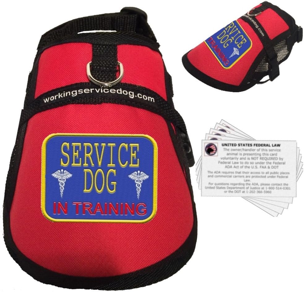 Service Dog in Training Vest - in Training Harness - Includes 5 Federal Law Cards (9-13" Girth, RED)