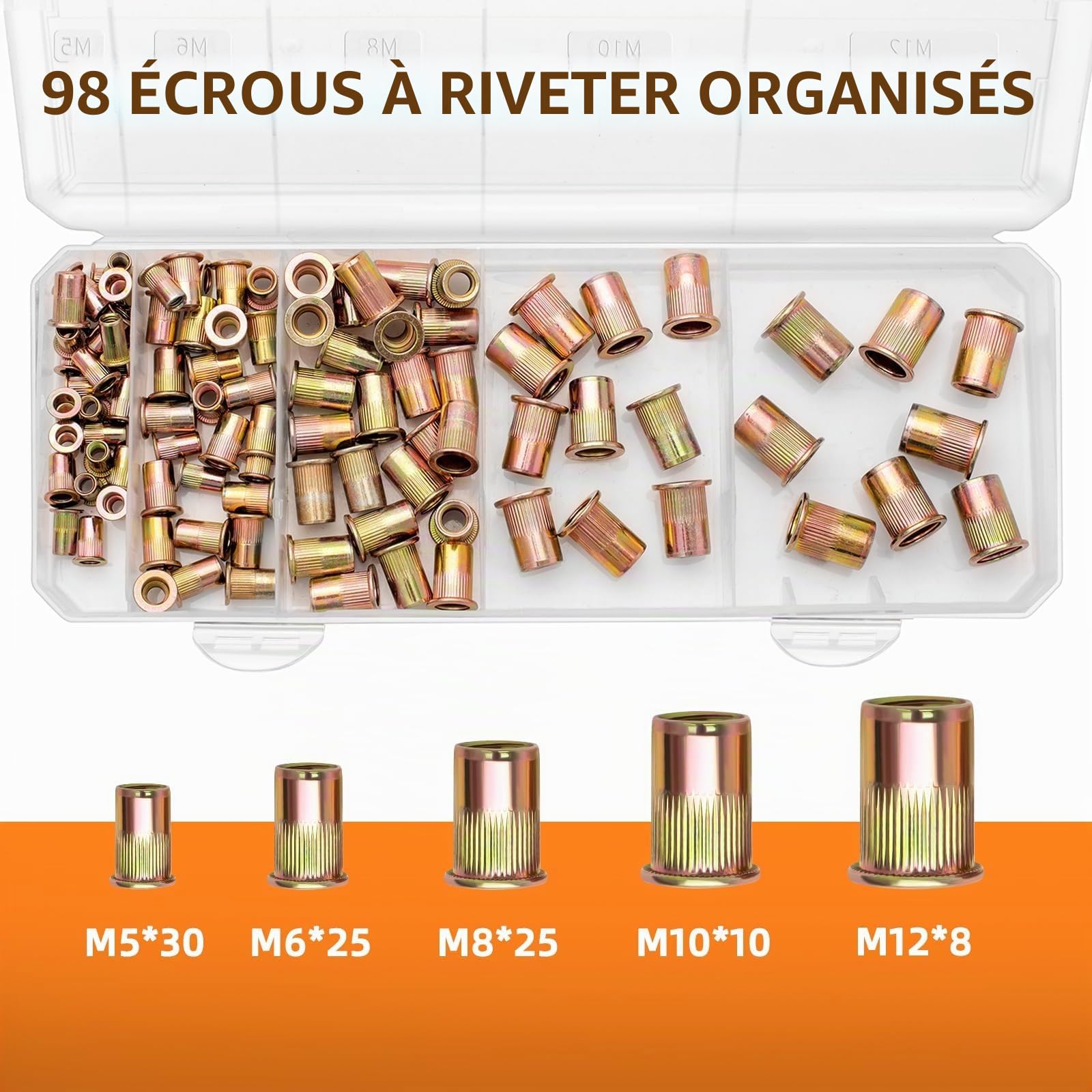Pince a Insert Fileté, Assortiment de 98 écrous à Rivets Dans une Boîte Solide, Pince a Insert avec 5 Mandrins M5 M6 M8 M10 M12, Pince a Sertir Ecrou avec étui de Transport