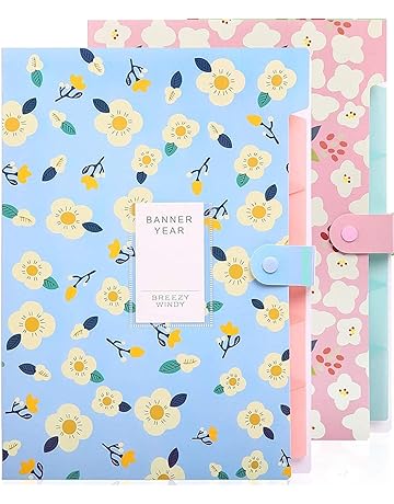 File Folders: Buy File Folders Online at Best Prices in India ...