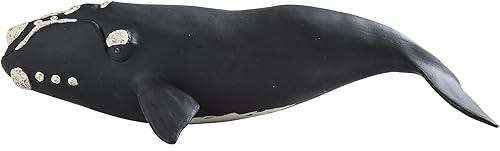 Safari Ltd. Figura de ballena derecha Figura detallada de modelo de plástico de 9.25 pulgadas Divertido juguete educativo para niños, niñas y