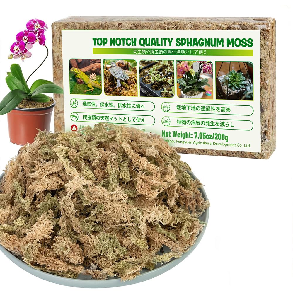 Water Moss for Gardening, Compressed Water Moss, Phalaenopsis Orchid, Misokoke, Succulent Plants, Decorative Plants, Insect Eating Plants, Drying Basin, Plant Cultivation, Natural Water Moss, Reptile