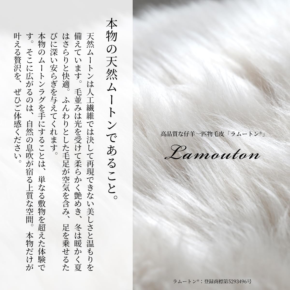 Amazon｜sleeptailor ムートンラグ 本革 天然高級 (90cm×60cm ブラウン 