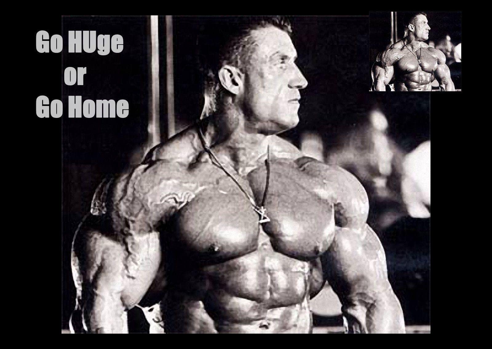 Dorian Yates Poster Muscle Man Bodybuilding Poster Workout Poster Home |  Desertcart Seychelles, image size:1600x1136