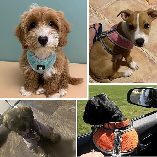 Miniatura 6 de Juego de arnés y correa para cachorro, arnés de chaleco para perros pequeños y medianos, arnés reflejante ajustable para perros, ajuste cómodo de