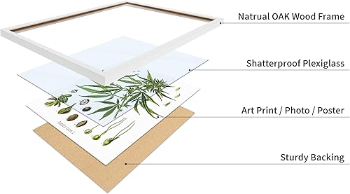 Miniatura 418 de Poster Master Póster vintage de orquídea, estampado de flores retro, arte de pared de plantas exóticas, arte botánico, regalo para hombres y