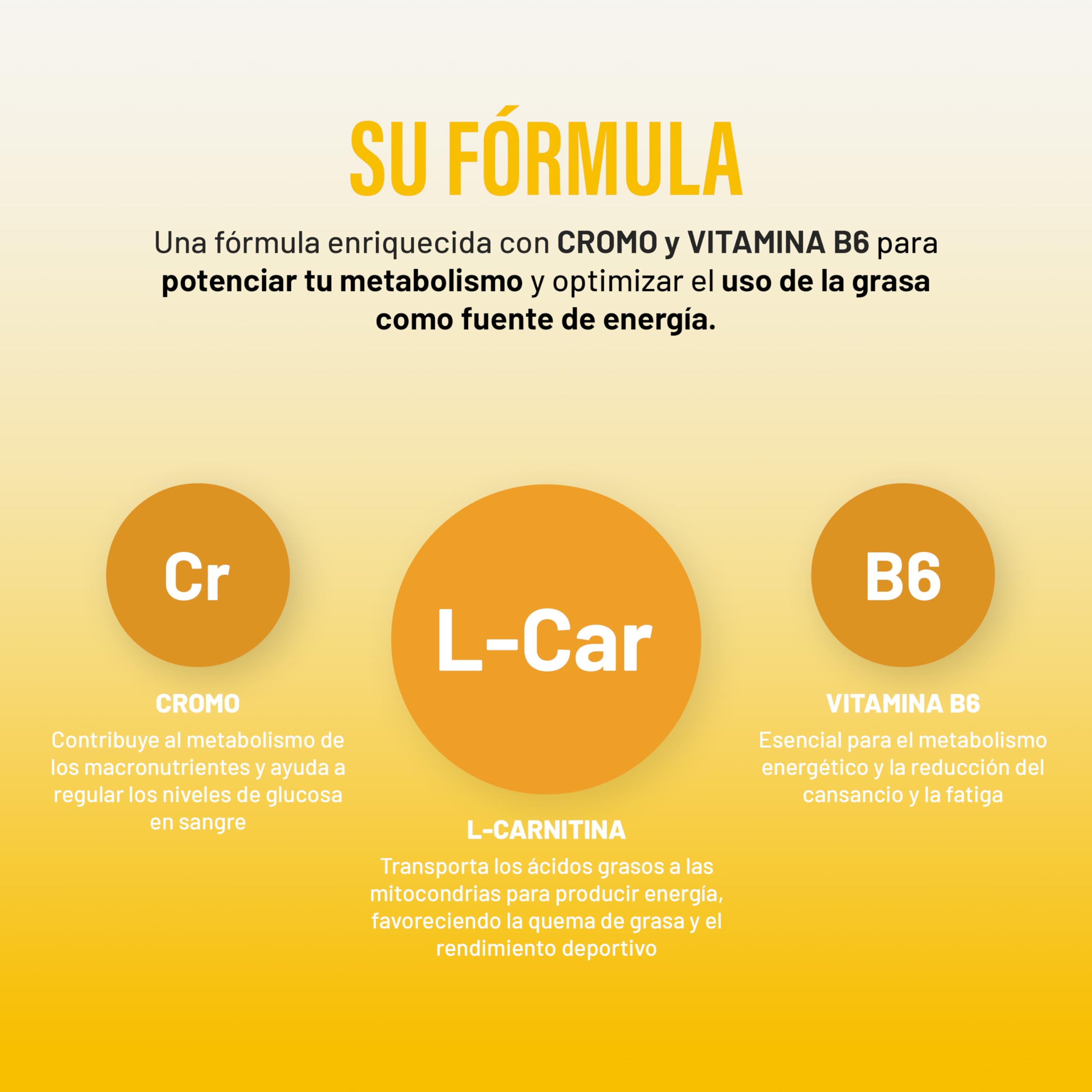 l carnitina precio gnc GNC | Pro Performance | L-Carnitina Plus