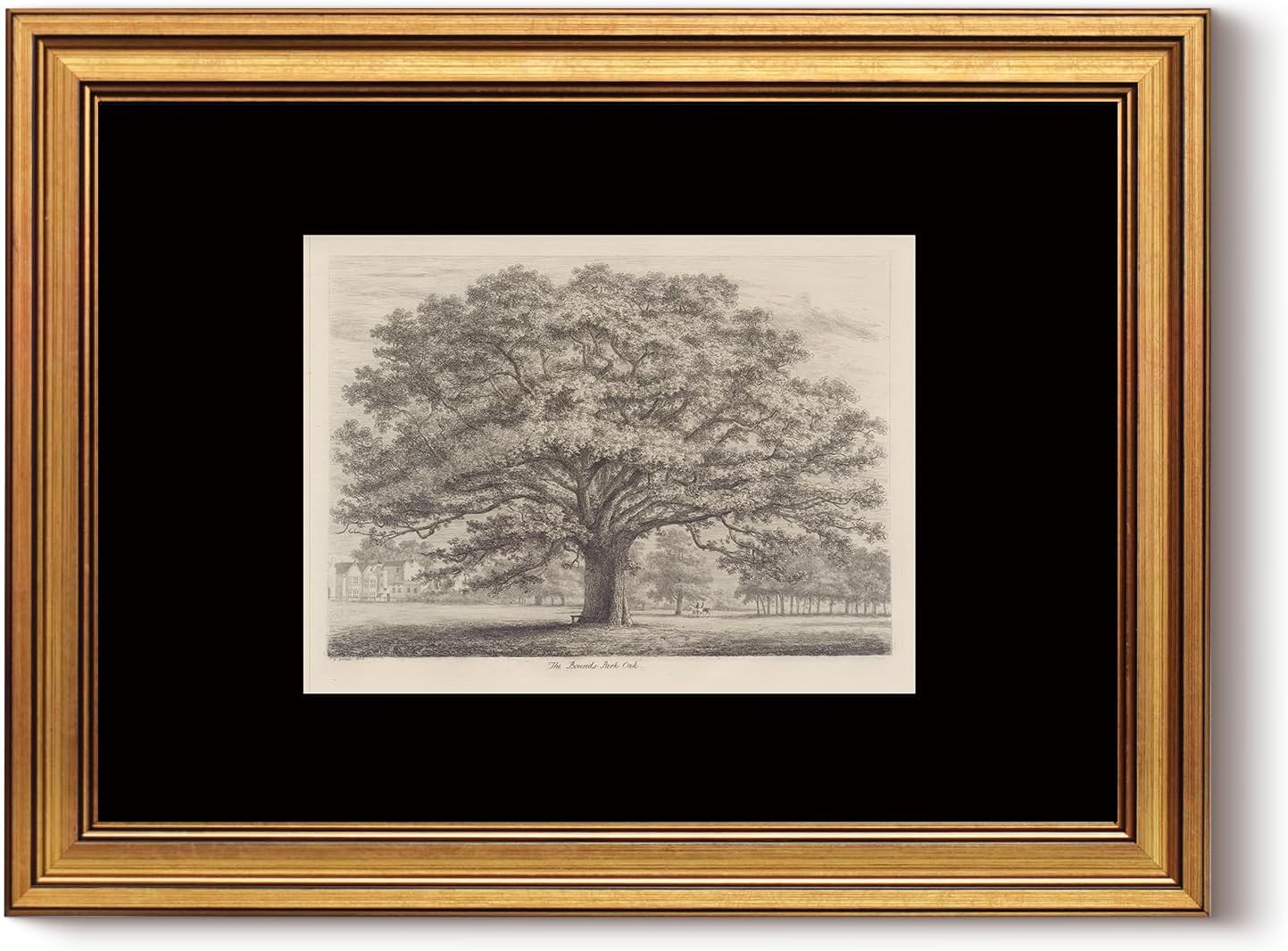 InSimSea Vintage Gold Framed Canvas Wall Art Tree of Life Retro Majestic Oak Tree Wall Decor Farmhouse Botanical Prints Sketch Artwork Coquette Decoration Room Aesthetic for Bathroom Bedroom 12x16in