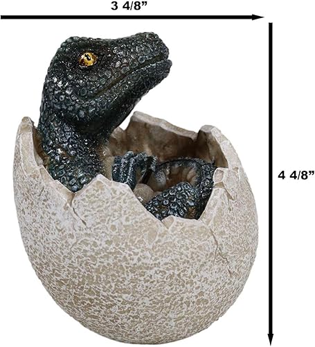 Miniatura 2 de Ebros Gift Jurassic Era Depredador Velociraptor en huevo Figura de dinosaurio Dino Hatchling Huevo Crucero Bebé Escultura coleccionable de animales