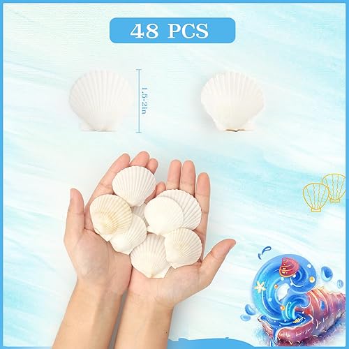 Miniatura 2 de 48 conchas de vieira natural, conchas de vieira blancas de 1.5 a 2 pulgadas, conchas pequeñas para manualidades, decoración de boda, fiesta temática