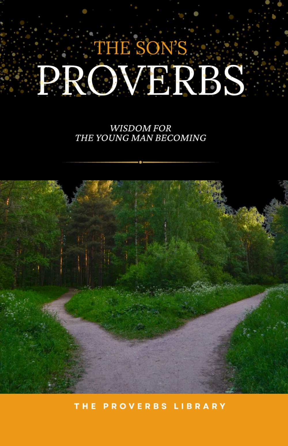 The Son's Proverbs: Wisdom for the Young Man Finding His Way