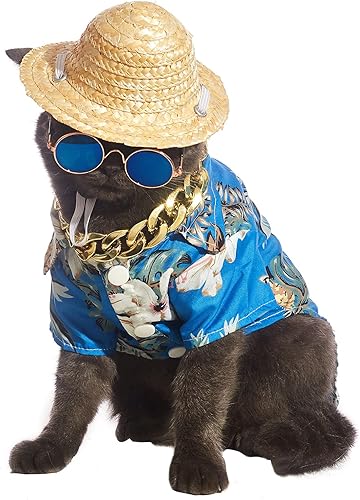 Miniatura 7 de Camisetas hawaianas para perro, ropa de verano para mascotas, gafas de sol de gato, divertido sombrero de paja, disfraces de gatito con collar de