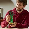 LEGO Botanicals Şans Bambusu 10344 – Yetişkinler için Bambu Sapları, Çakıl Taşları ve Ahşap Efektli Saksı İçeren Sevgililer Günü'ne Özel Dekoratif Bitki Modeli Yapım Seti (325 Parça)