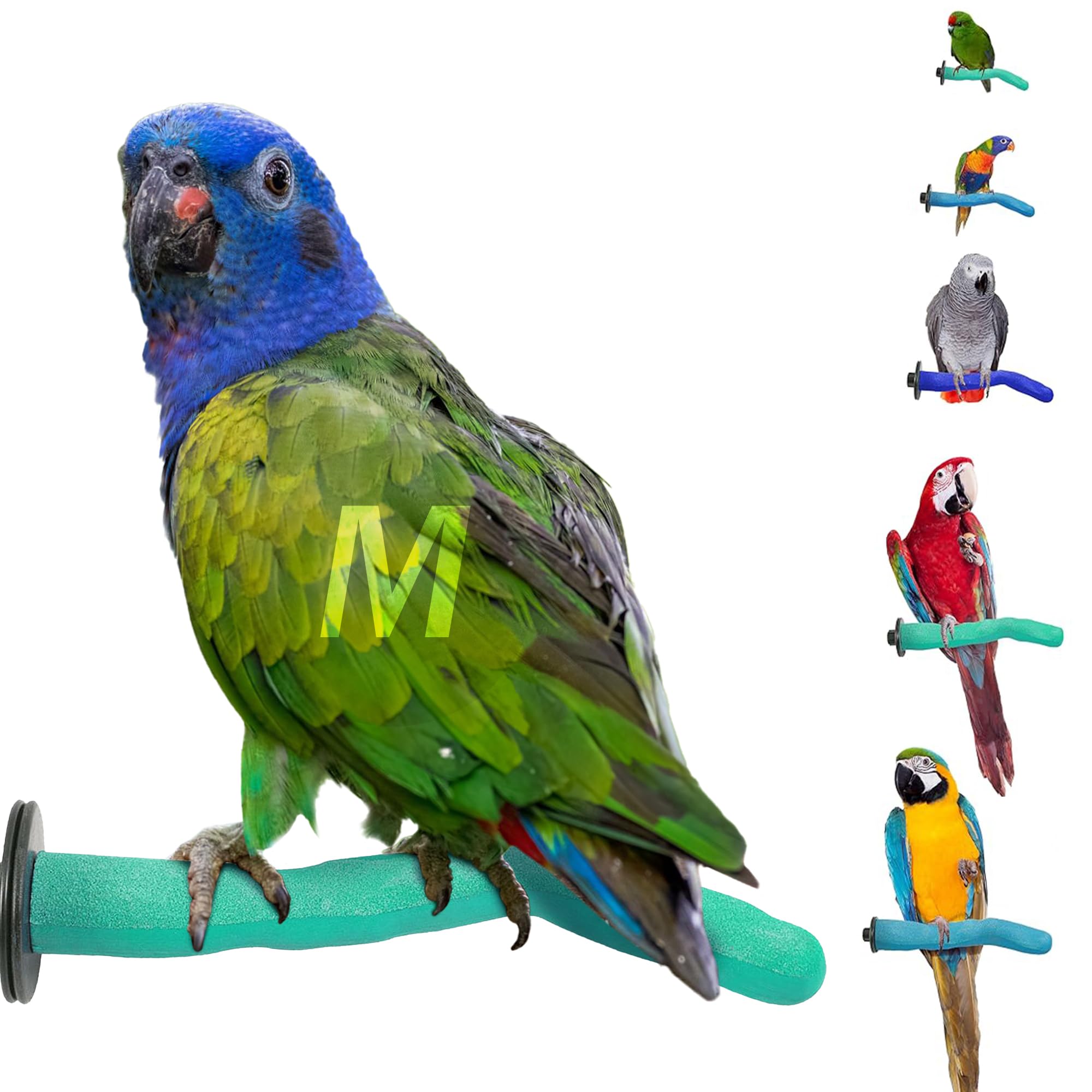 Sweet Feet and Beak Safety Pumice Perch Bird Toy - Trims Nails and Beak - Promotes Healthy Feet - Safe, Non-Toxic - Blue, Green, Purple - Plastic and Pumice - Bird Accessories
