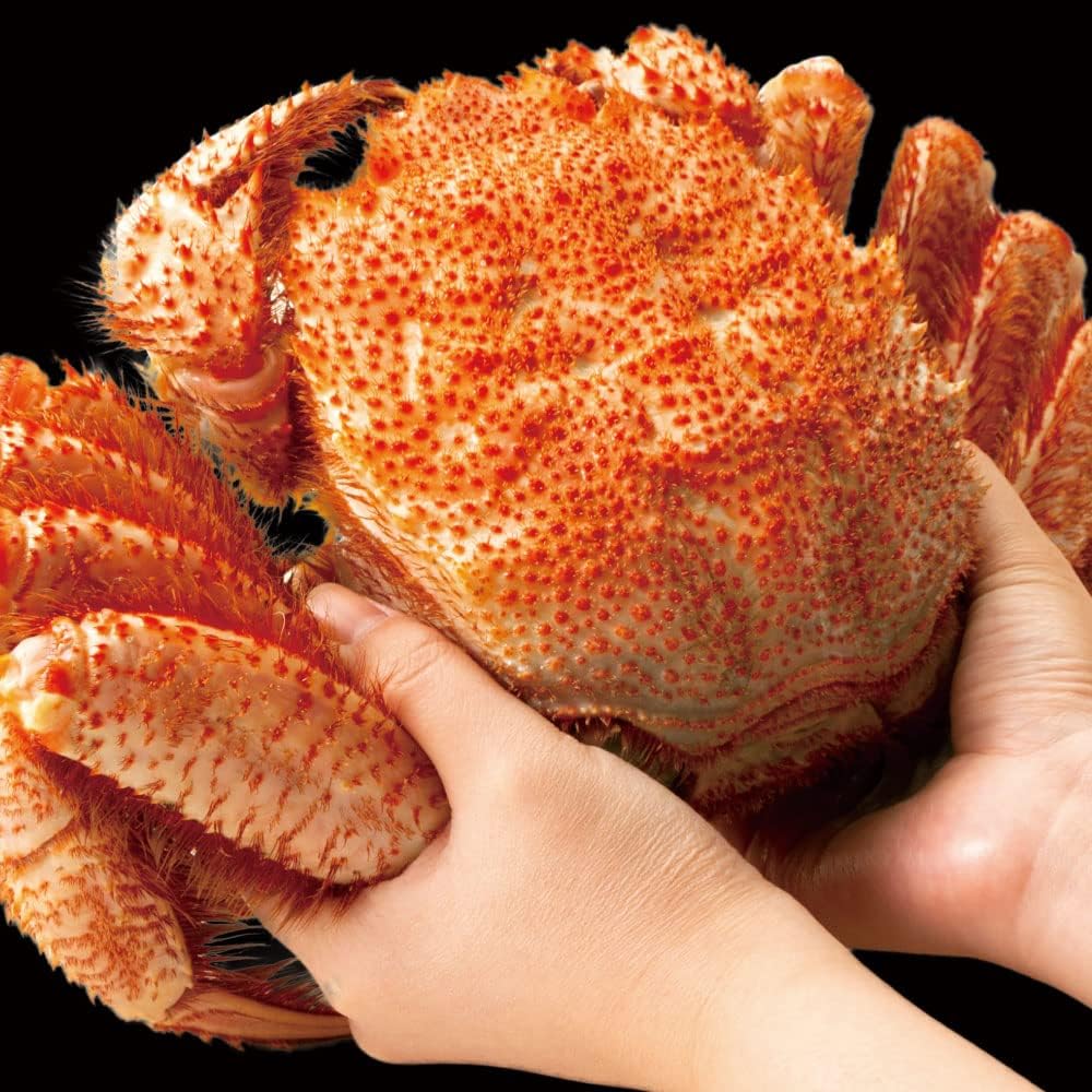 サイズ 北海道産 ゆで毛蟹 500g 2尾 1kg 訳なし の通販 By まどか S Shop ラクマ あたり