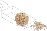 Cat's Best Sensitive Litière pour Chat 100% végétale agglomérante Ferme et antibactérienne en Fibres de Bois Actives traitées - Spécial Chat Sensible 7,2kg/20L - 11