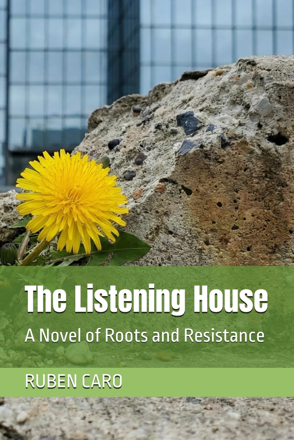 The Listening House: A Novel of Roots and Resistance