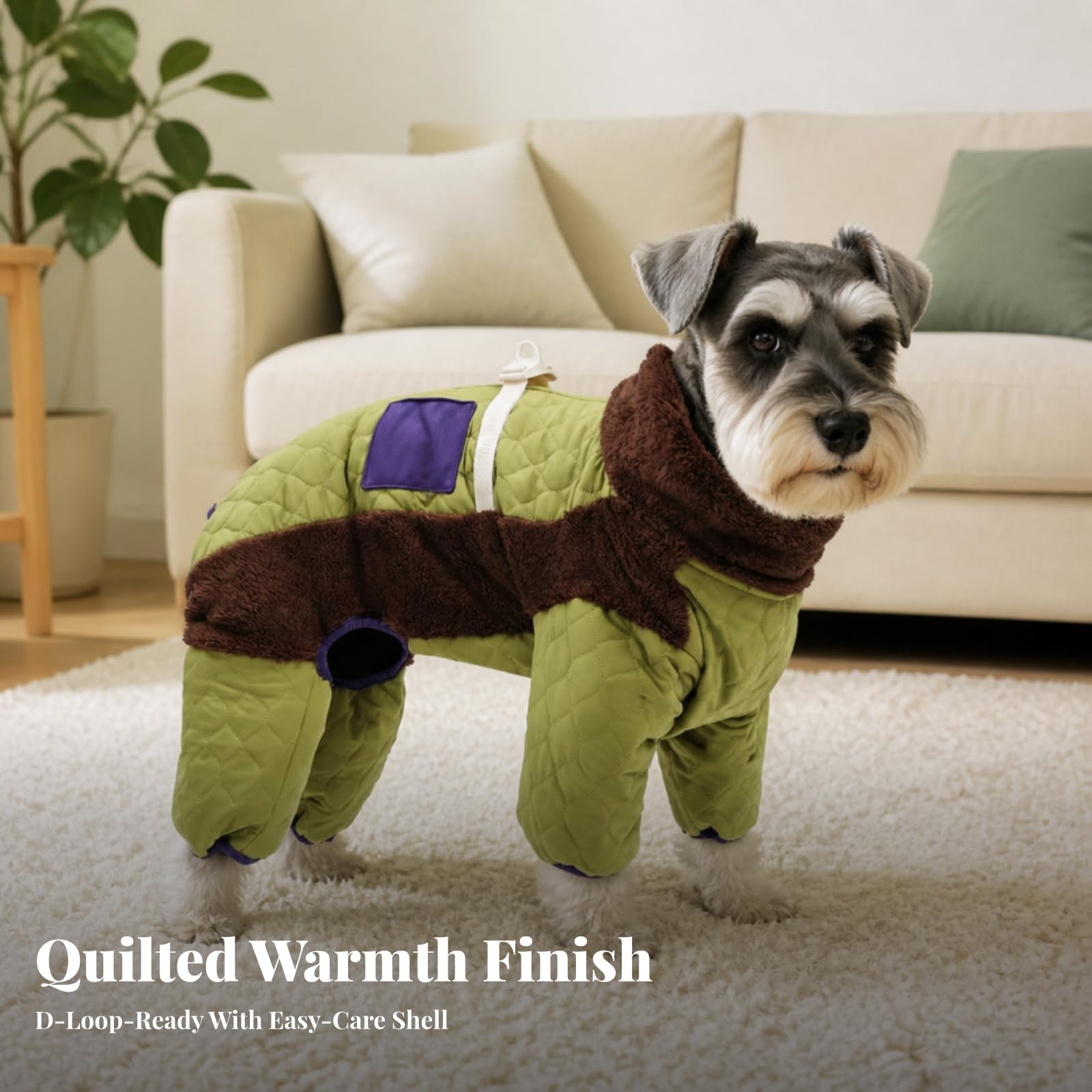 Winddicht Kaltmantel für Hunde, M, Grün, Grün