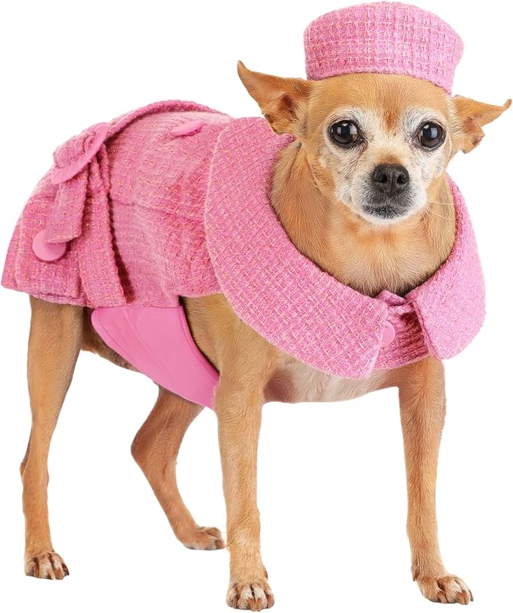 Disfraz para Perro Legally Blonde 2 Bruiser con Chaqueta y Sombrero Rosa - Talla XS miniatura 3