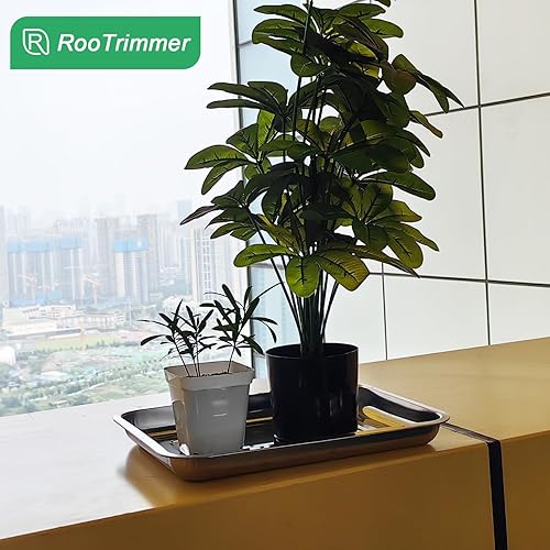 Miniatura 10 de Bandejas de metal inoxidable, bandeja de transporte de semillas de acero inoxidable para bandeja de enchufe de 54 celdas, macetas de plántulas de