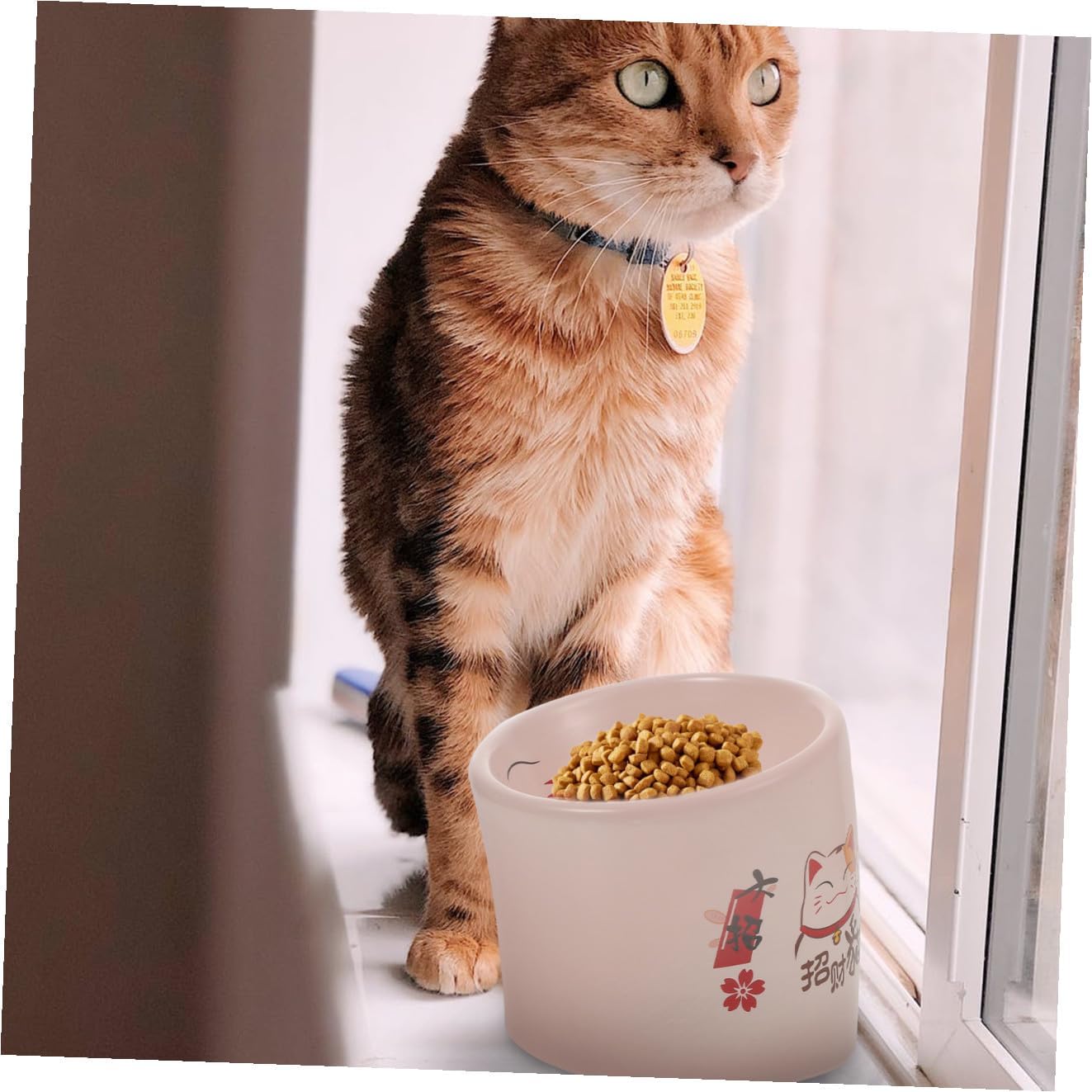 Alipis Elevated Ceramic Cat Bowl with Spill-Proof Design Pink Pet Food Dish Neck Protection Feeder for Cats and Kittens