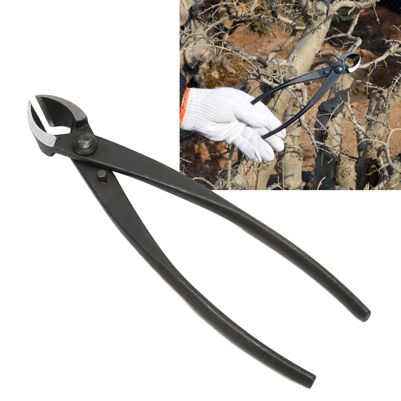 Coupe Branches Concave pour Bonsaïs, Pince Diagonale en Acier Au Manganèse, Presque Pas de Cicatrices, Poignée Ergonomique à Prise Confortable, Outil de Jardinage pour Le Modelage Des Bonsaïs