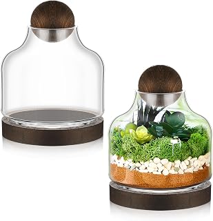 2 Pack Glass Terrarium with Wood Base & Ball Lid - Elegant Display Jars for Plants, Decorative Container Ideal for Moss, Air Plants, Succulents, for Tabletop Home & Office Decor (7 Inch)