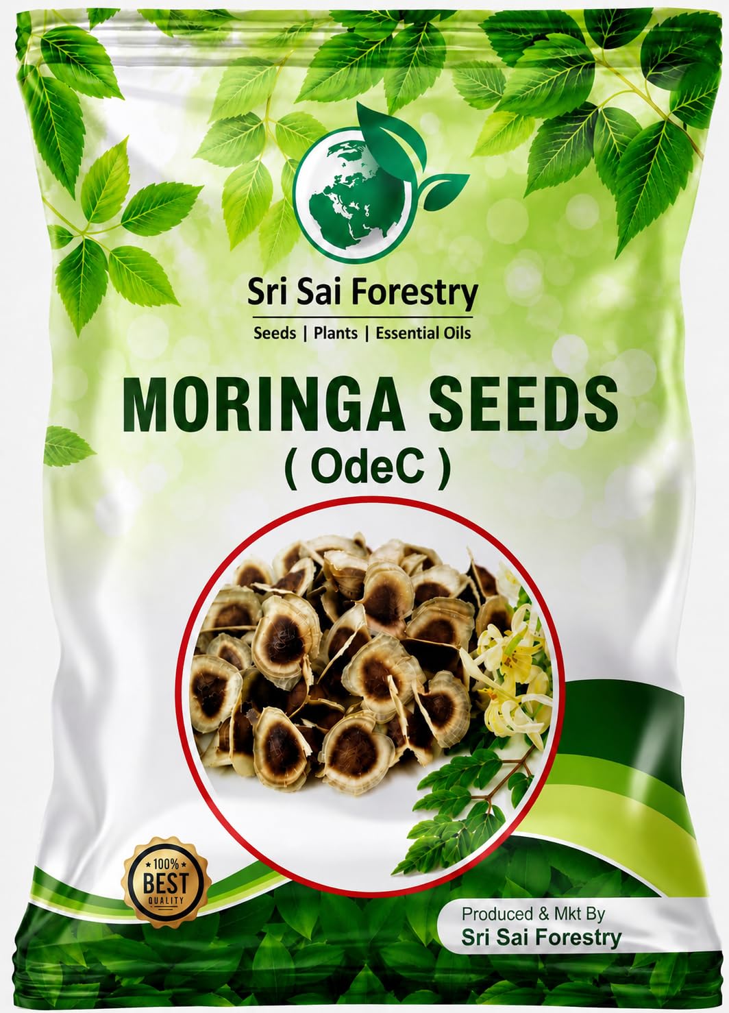 Moringa Seeds (OdeC) for Planting - Pack of 100 Seed – High Yield Perennial Drumstick Variety | Drought Resistant Moringa Oleifera Seeds | Long Tender Pods & Leaves | Suitable for Organic Farming-image-37