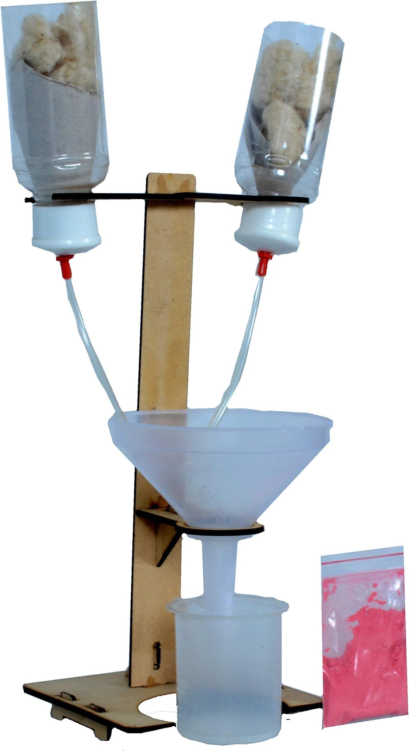 Kidney Working Model, (Multicolour)