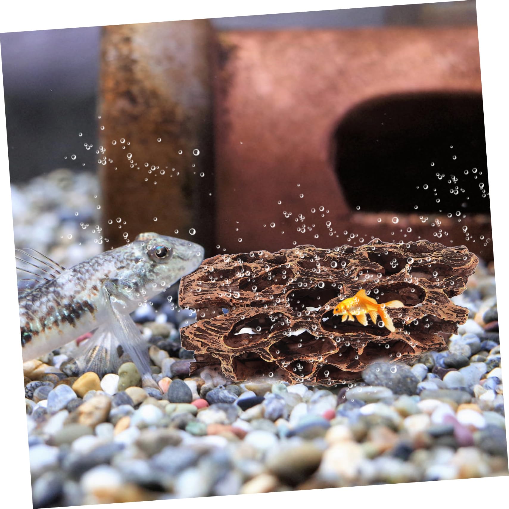 BESPORTBLE 5 Pièces décoration d'aquarium Grotte à Poissons Refuge pour Aquarium décor de Paysage d'aquarium décor de Terrarium Animal cachette de crevettes cachette pour Aquarium résine