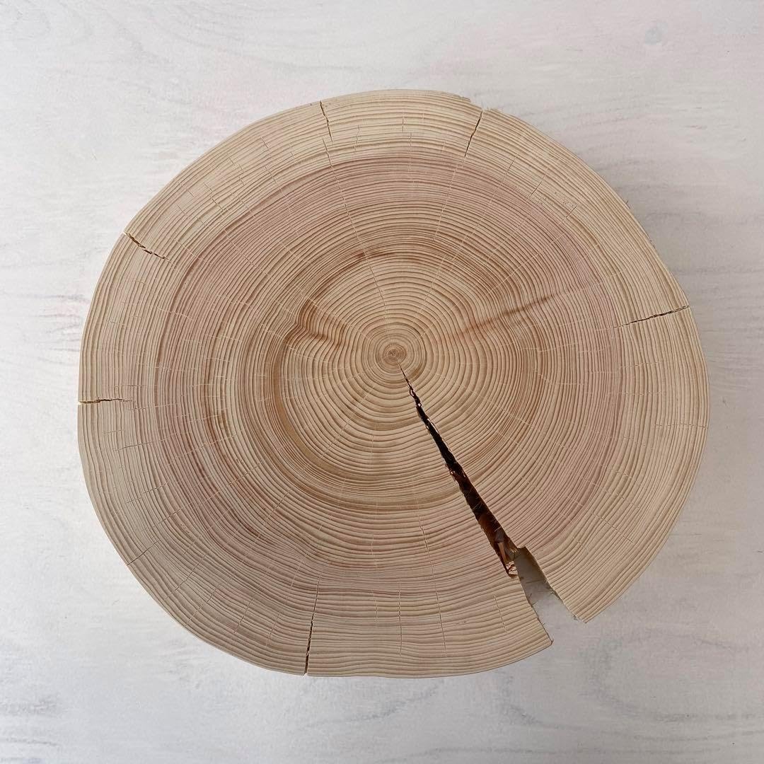 ヒノキの切り株プレートアクセサリー置き ディスプレイ ひのき 什器