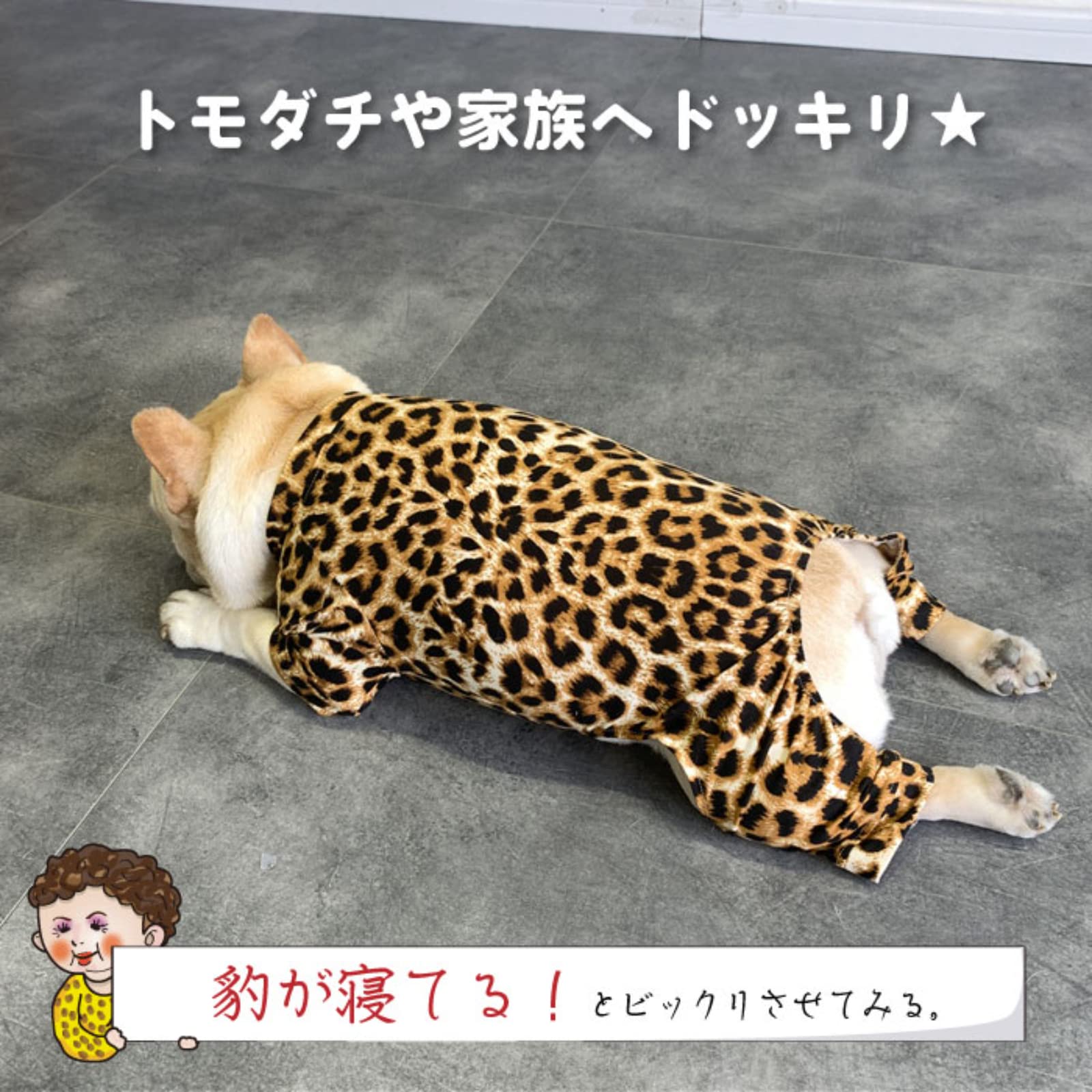 Amazon.co.jp: フレンチブルドッグ ペット おもしろ 犬 服 ロンパース